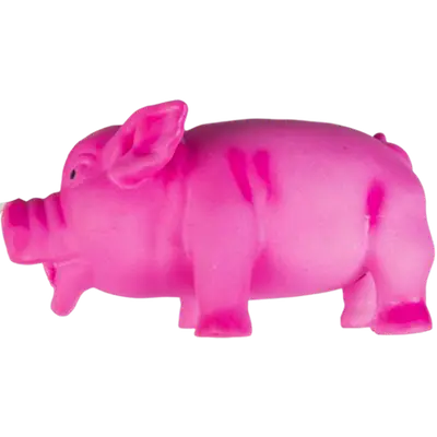 Latex Oinking Pig - Dog Toy