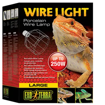 Wire Light - Porcelain Wire Lamp Pieni