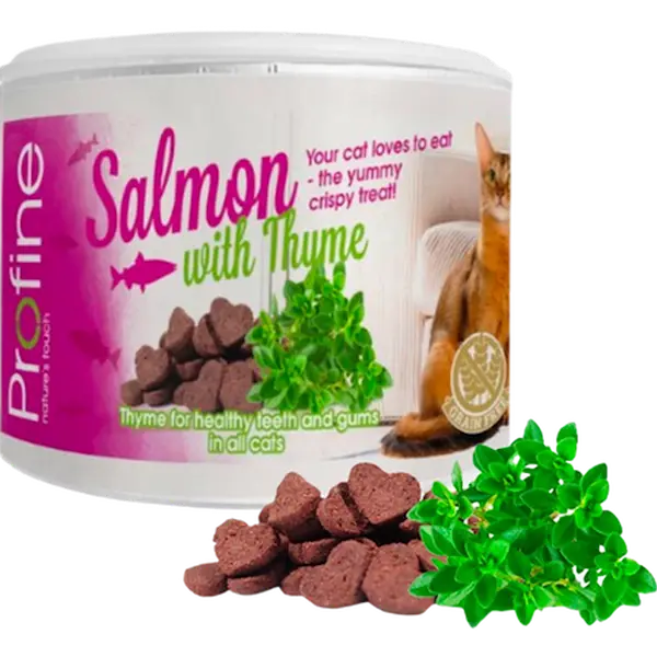 Cat Crunchy Snack Salmon & Thyme Pink 50 g