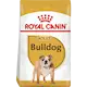 Breed Bulldog Adult 12 kg