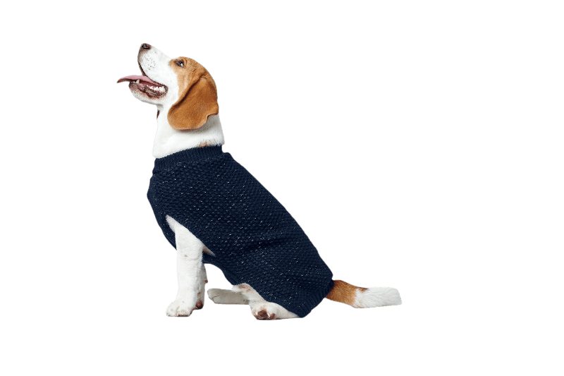 hunter_finja_pullover_blue_beagle.png