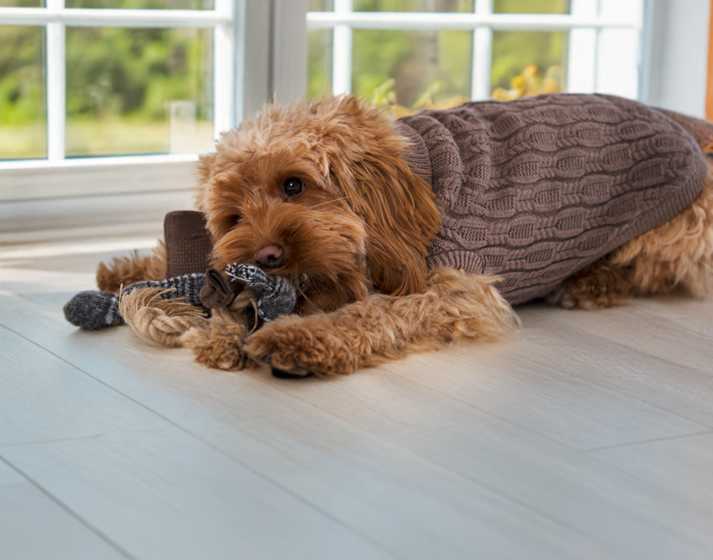 20353, 20536, 20537, 20538, 20539 (1).png