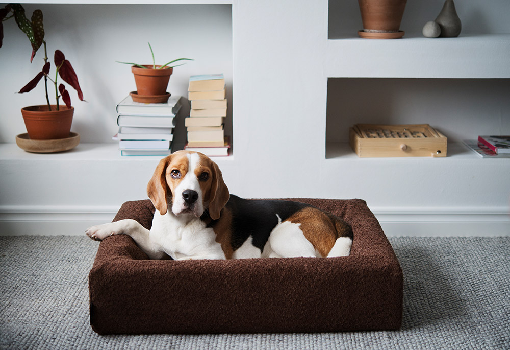 4332, 4333, 4334, 4335, 4336 (2).jpg