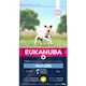 Eukanuba Dog Mature Small 3 kg
