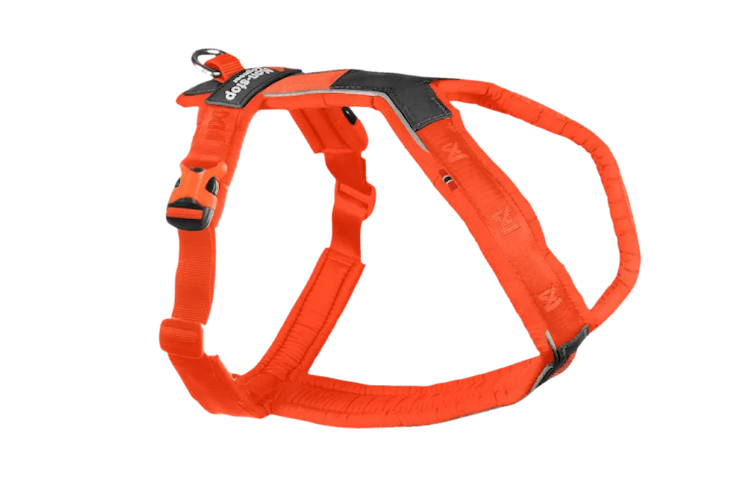 Non-Stop Dogwear Line harness 5.0 Orange