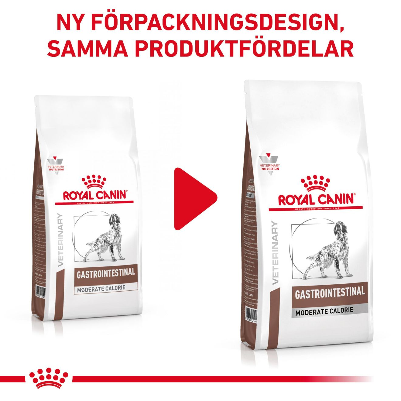 Gastrointestinal Moderate Calorie