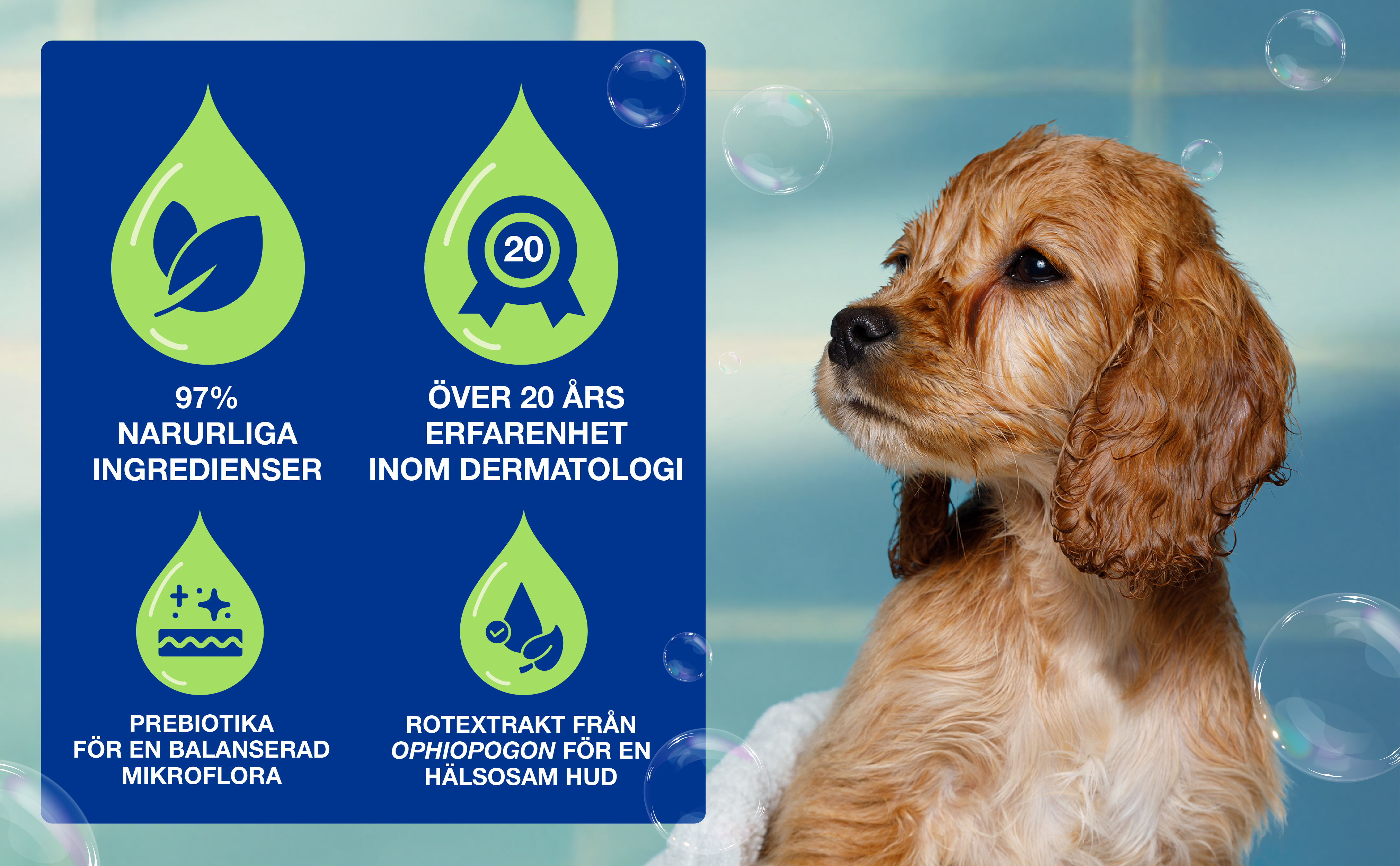 Puppy-schampo-3411113154219-SE_BTF_Banner 3.jpg