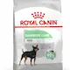 Royal Canin Digestive Care Adult Mini koiran kuivaruoka