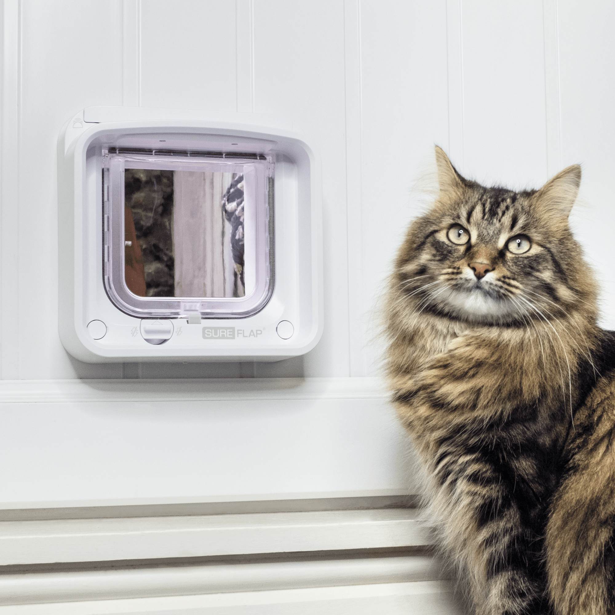SureFlap Microchip Cat Flap Connect Kattlucka + Hub 210x210 mm ZOO.se