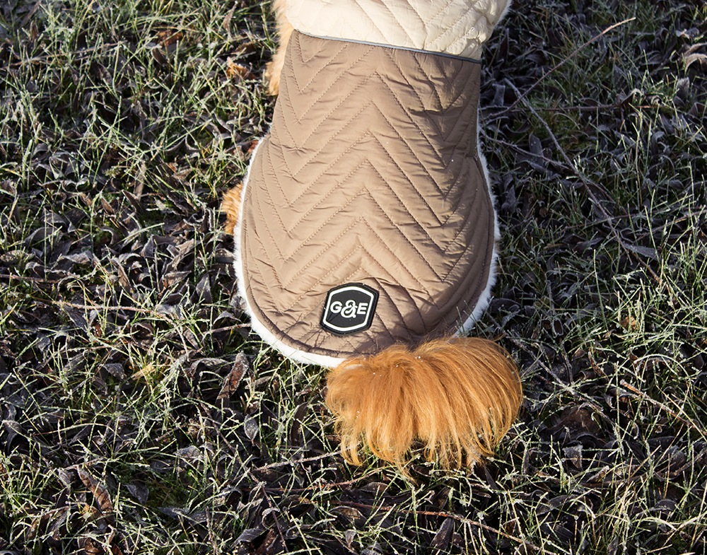 20550, 20551, 20552, 20553, 20554 (4).png