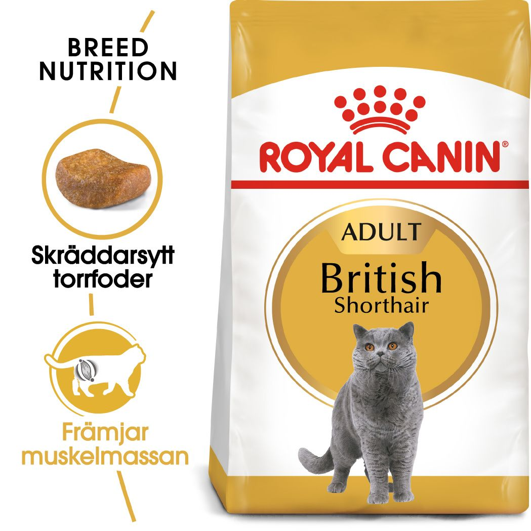 Royal Canin British Shorthair Adult kissan kuivaruoka