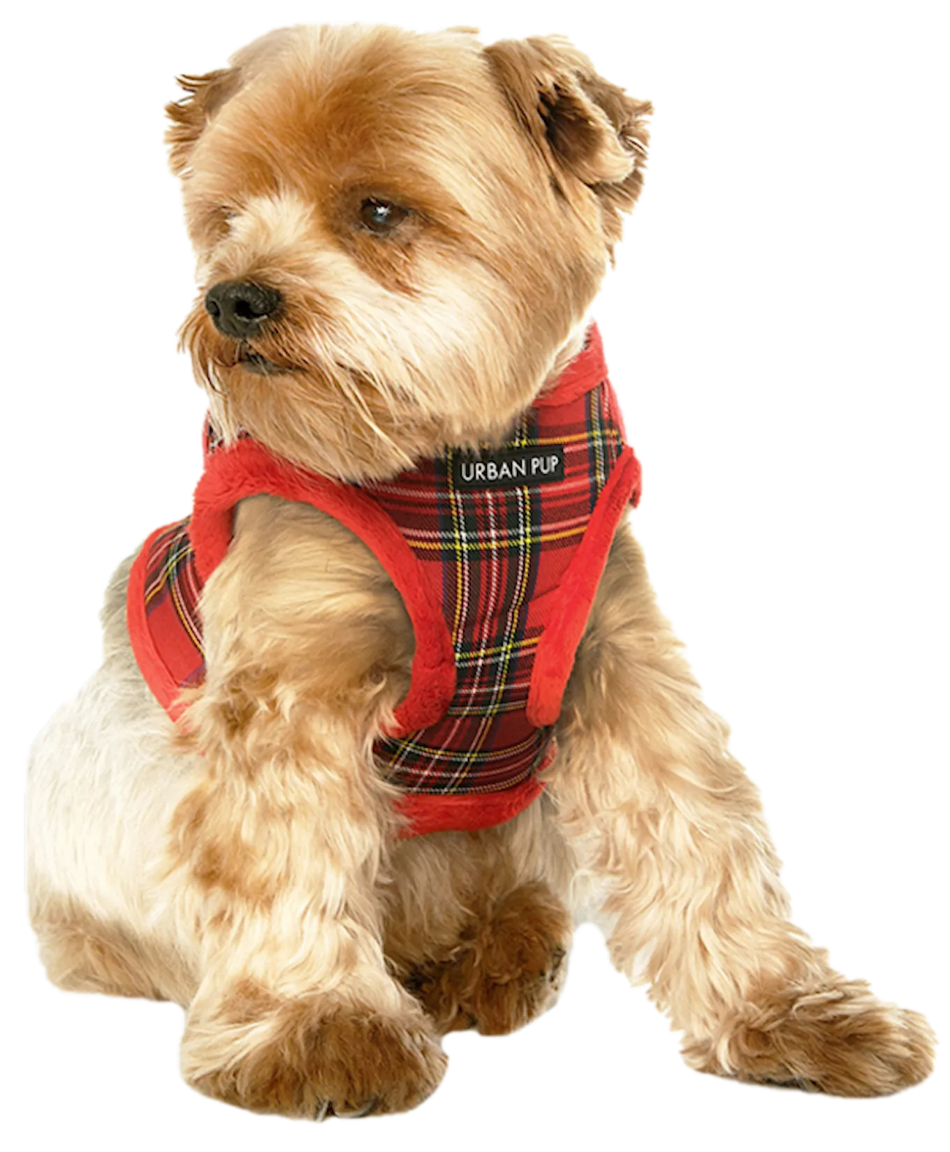 Urban pup faux fur red harness dog.png