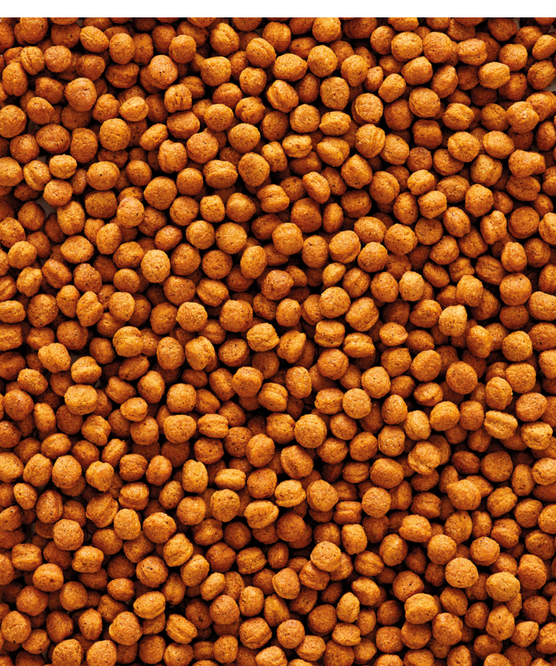 verselelaga_nutribird_t16_pellets_allinone_large_f