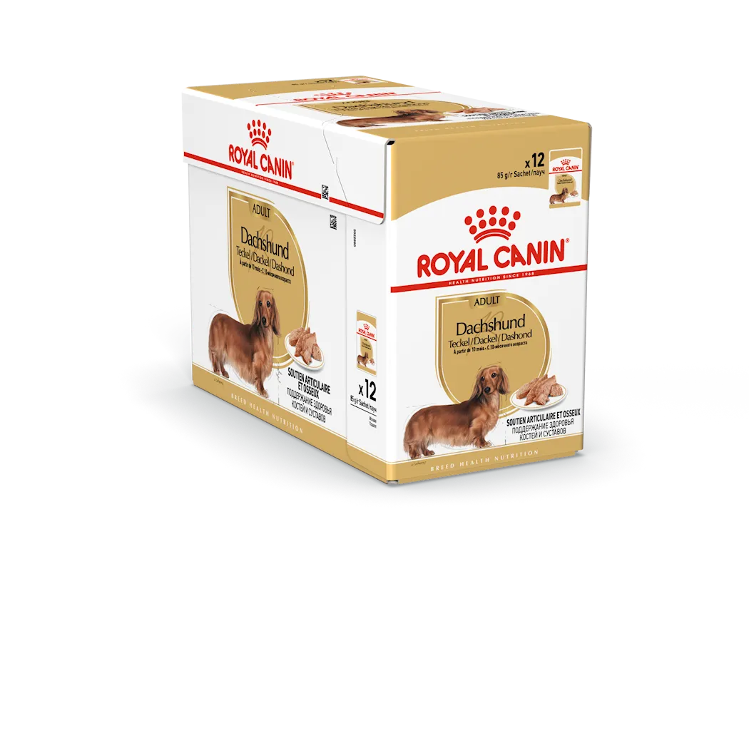Royal Canin Breed Wet Dachshund Adult 85 g x 12 stk - porsjonsposer