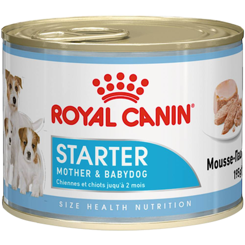 Royal Canin - Wet Starter Mousse Märkäruoka koirille 195g x 12kpl - Koirat - Koiranruoka - Märkäruoka