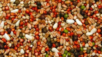 Duvblandning Arnes Multicolored 25 kg