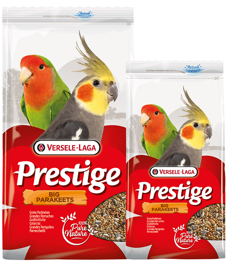 verselelaga_prestige_bigparakeets_seeds_mix_birds_