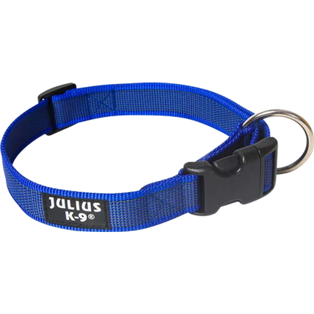 Julius-K9 Dog Collar Color