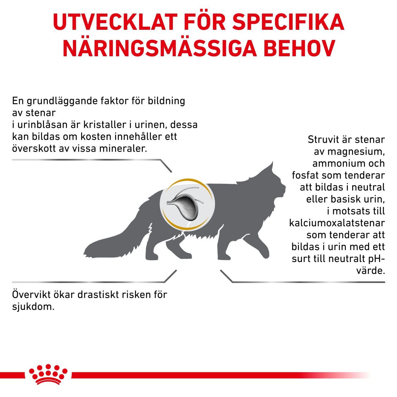 Urinary S/O Moderate Calorie