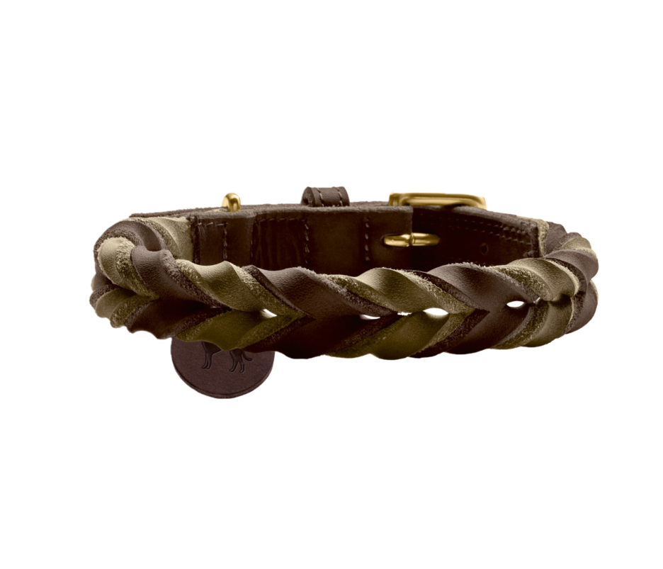 hunter_solid_edu_duo_collar_dark_olive_1.png