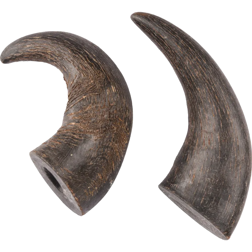flamingo_dog_snacks-nature-buffalo-horn_2p_001.png