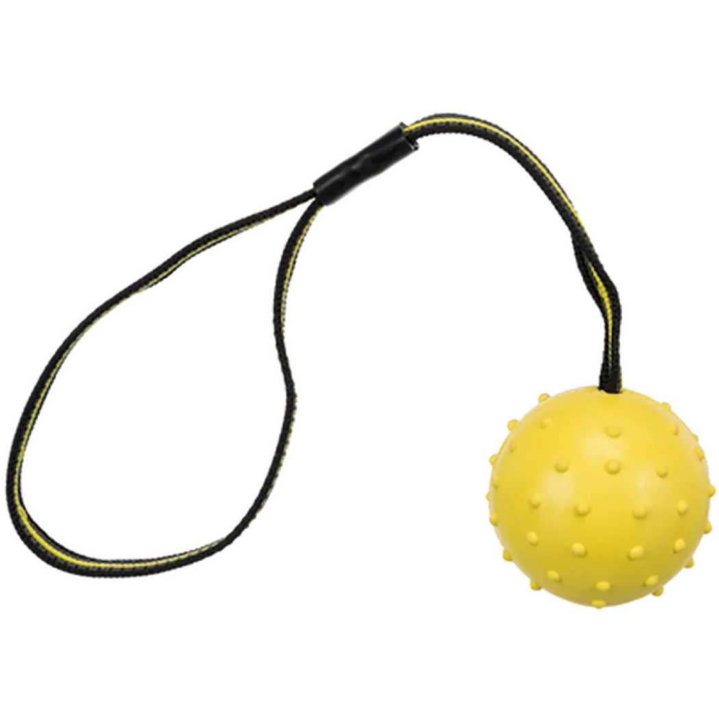 Trixie Sportsball med stropp i naturgummi 6 cm/35 cm