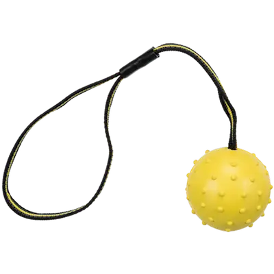 Dog Toy Sporting ball on strap natural rubber spiks