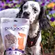 petgood-dog-treats-with-insect-protein-100g-4.jpg