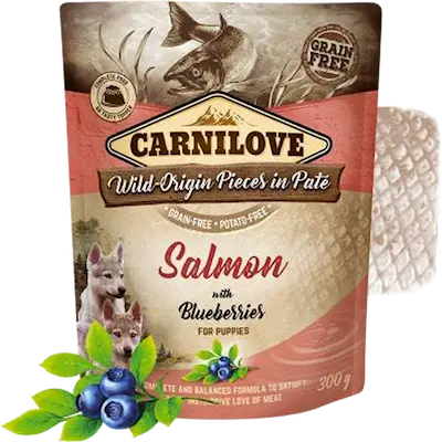Dog Pouch Paté Salmon with berries for Puppies