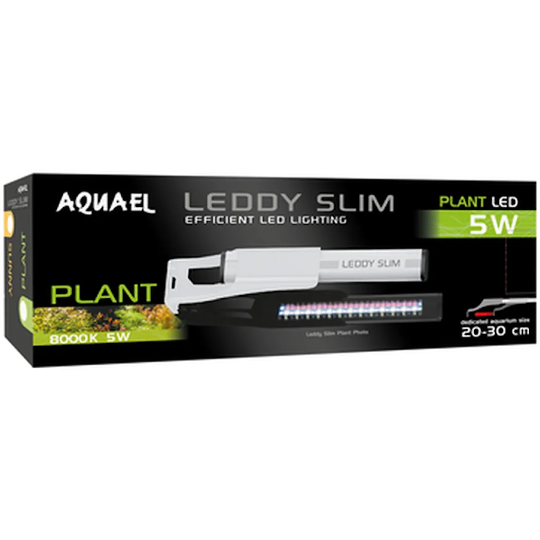 Leddy Slim Plant
