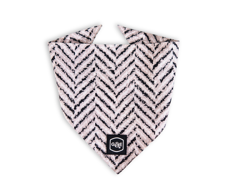 Gustaf och Evita - Bandana Modish XXS/XS, 48cm Mönstrad - Hund - Hundkläder - ZOO.se