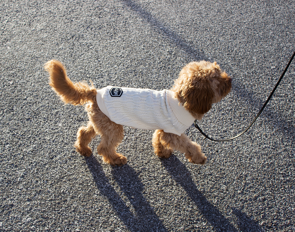 20530, 20531, 20532, 20533, 20534 (3).png