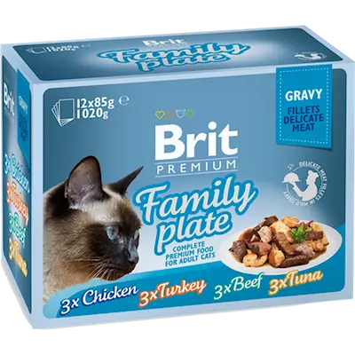 Cat Delicate Fillets in Gravy Family Plate