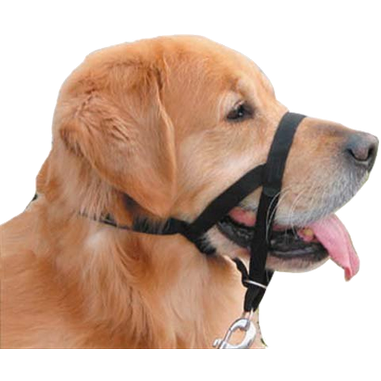 Halti - Headcollar Nosgrimma Black Nr 1 - Hund - Hundträning & Bruksspår - ZOO.se