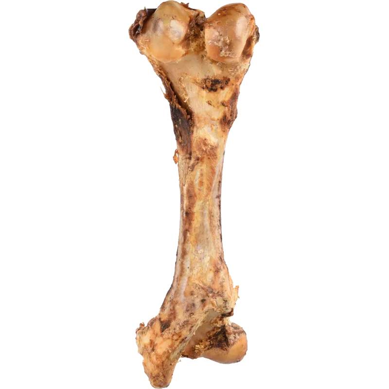 Flamingo - Dog Nature Snack Fleshy Jumbo Bone 800g - Hund - Hundgodis - ZOO.se