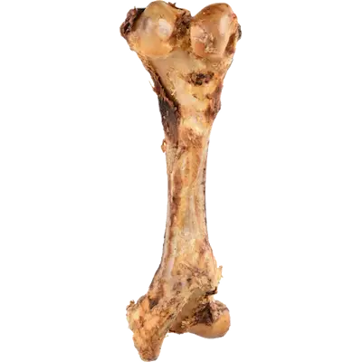 Dog Nature Snack Fleshy Bone