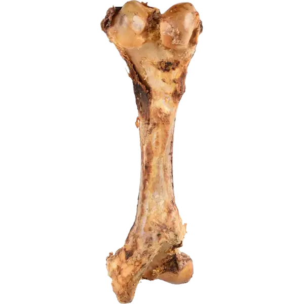 Dog Nature Snack Fleshy Bone