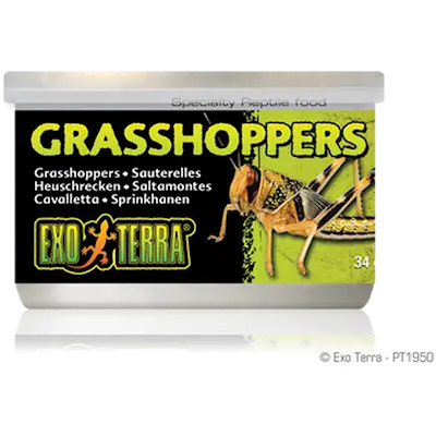 Grasshoppers- Canned Reptile Food