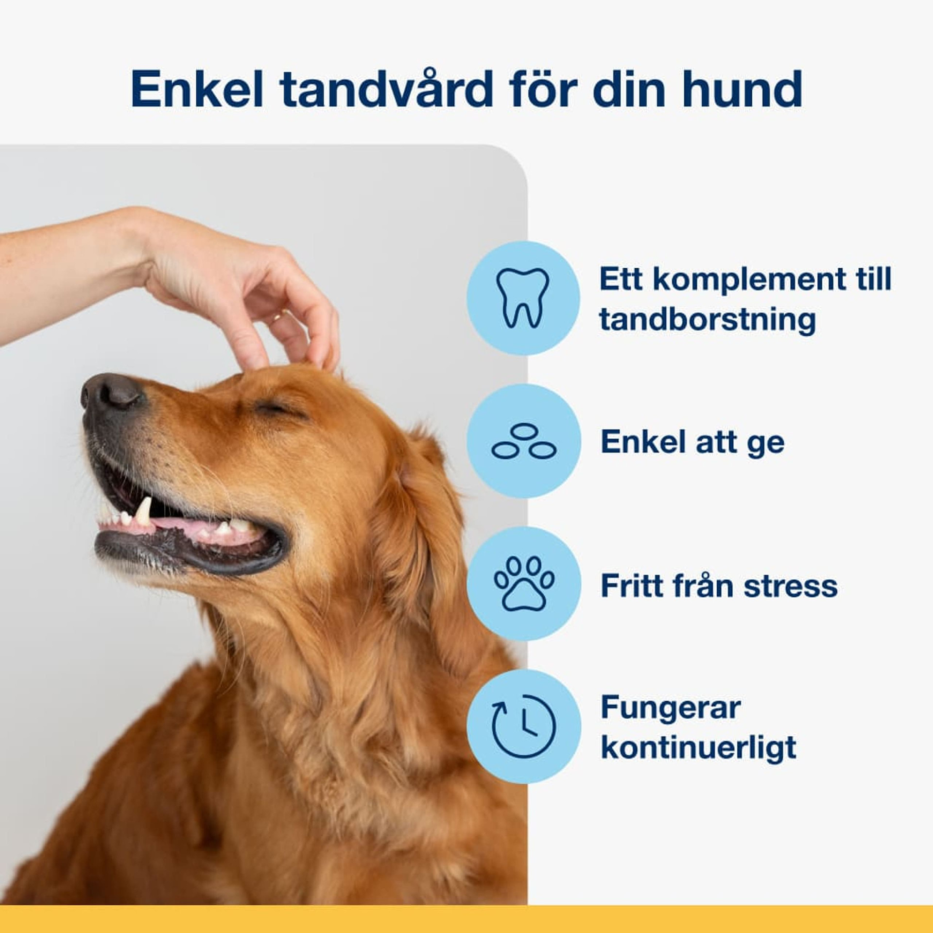 produkkort_hund_1__47893.jpg