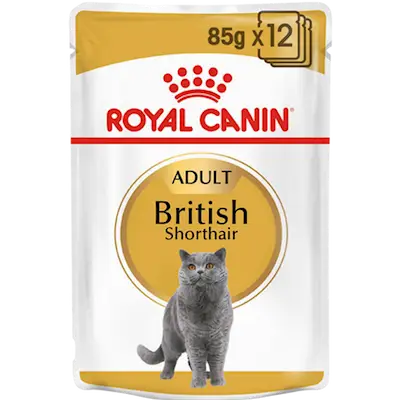 British Shorthair Adult Våtfoder för katt