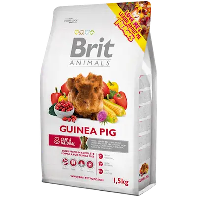 Guinea Pig Complete