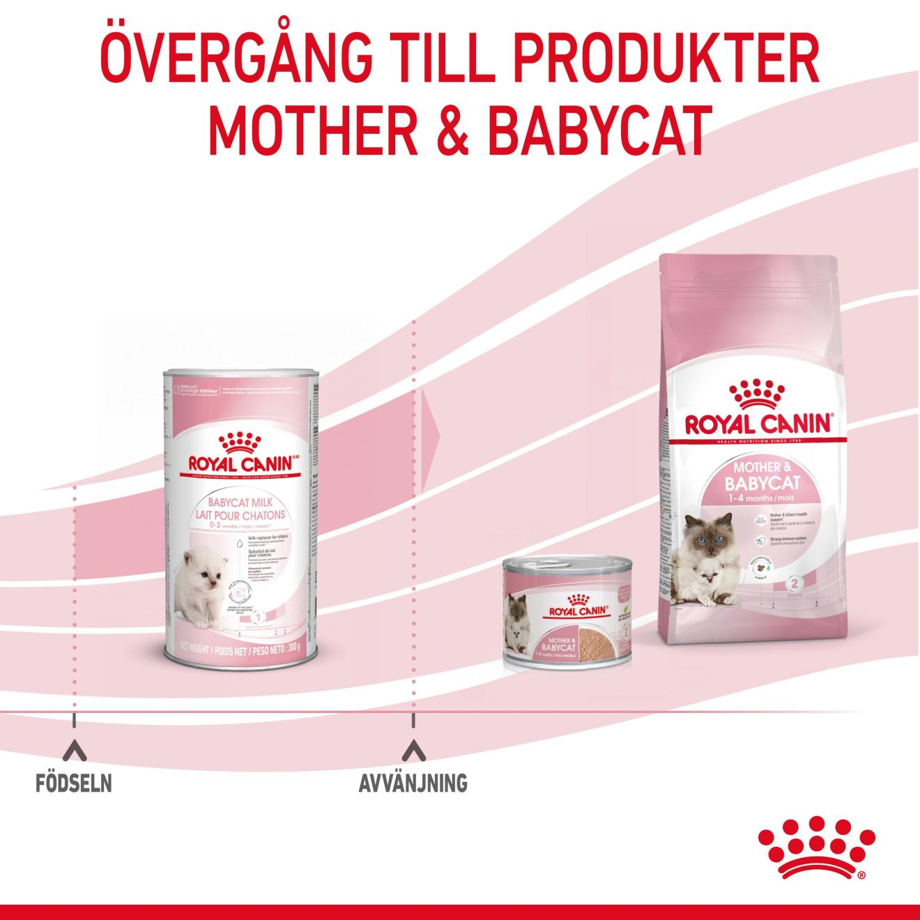 Babycat Milk