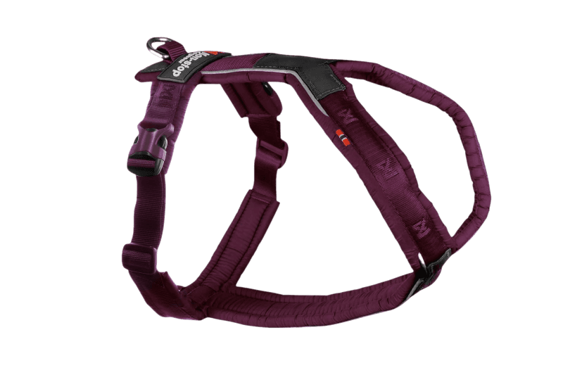 Line harness 5.0 Purple Nr 1