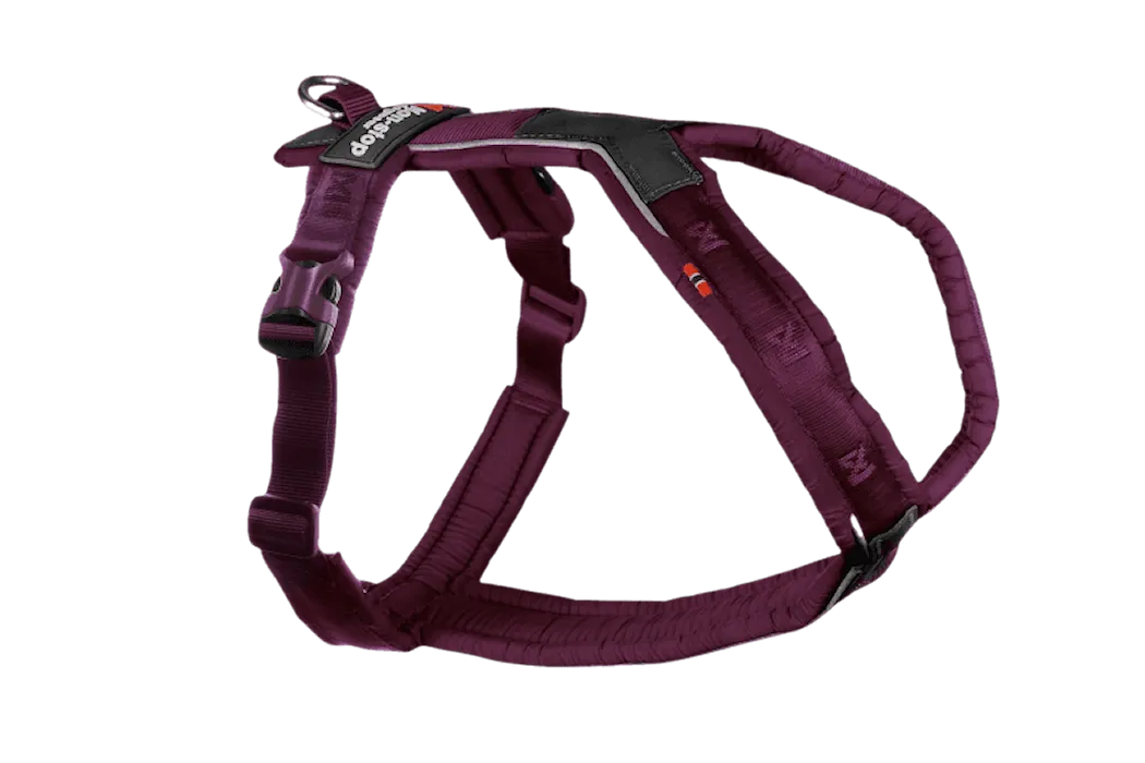 Non-Stop Dogwear Line harness 5.0 Purple