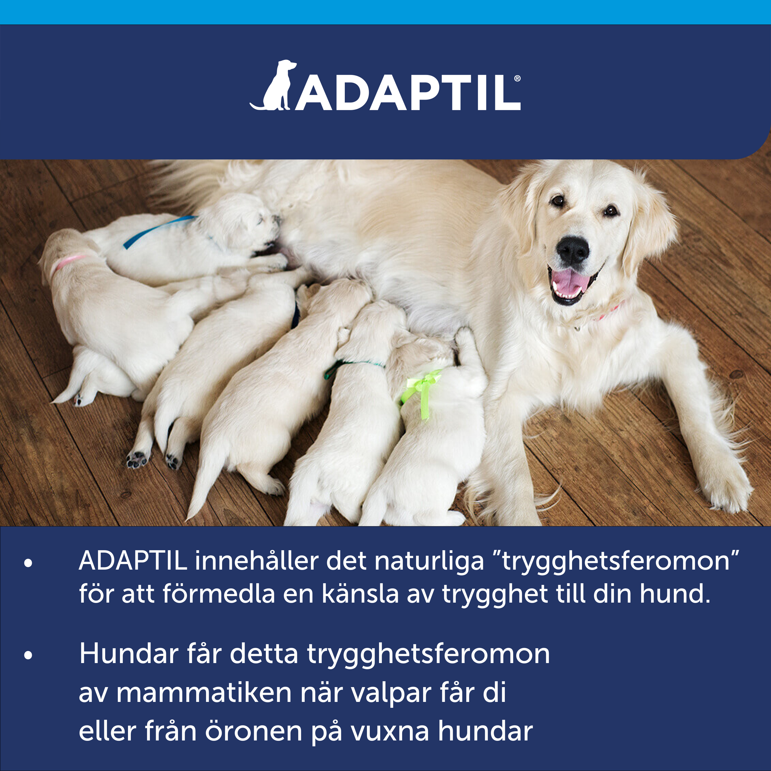 Adaptil Calm Doftavgivare_6_3411112169283.jpg