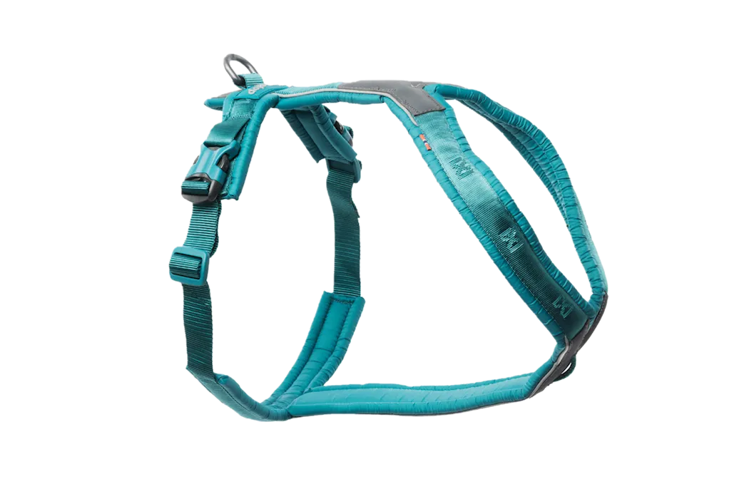 Non-Stop Dogwear Line harness 5.0 Teal