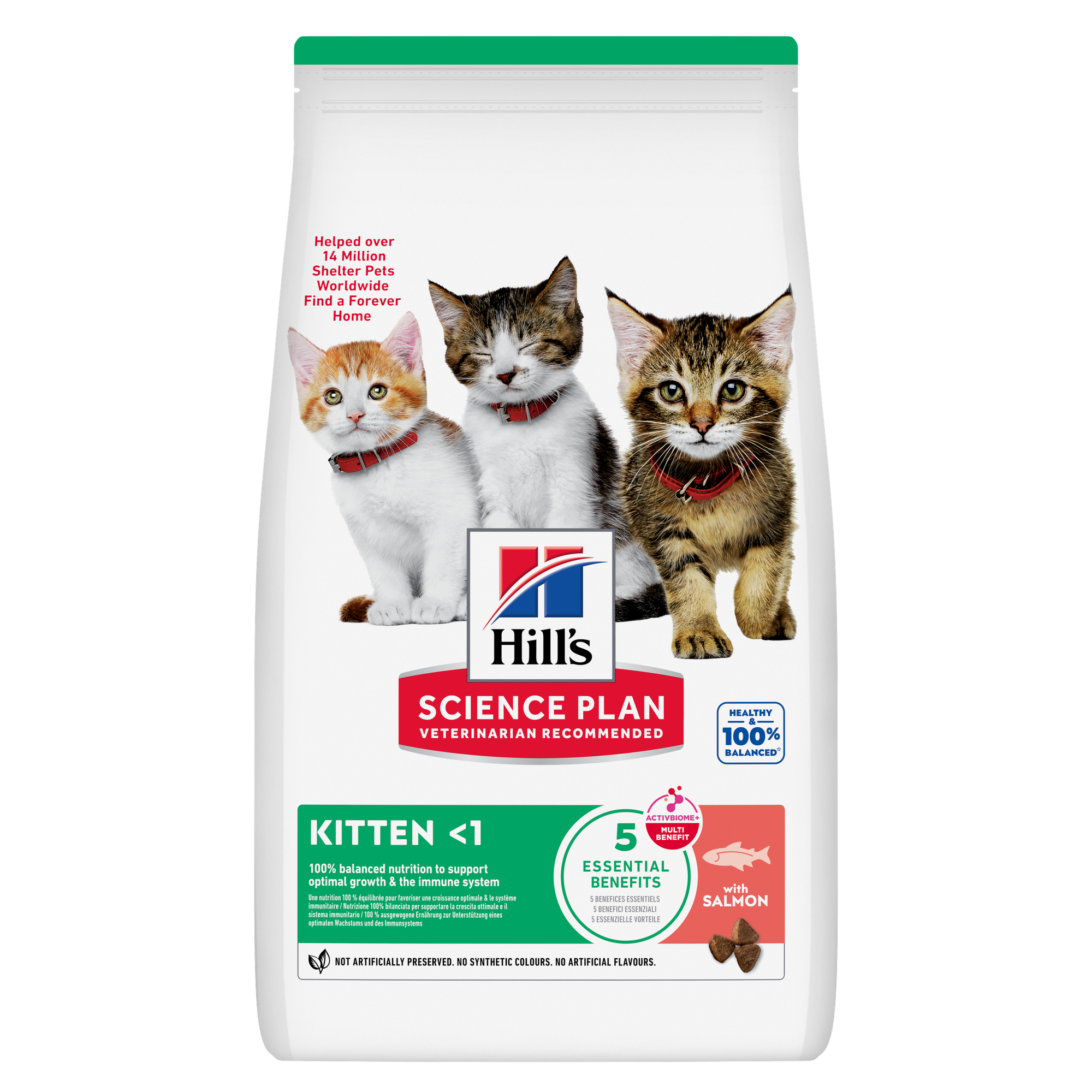 Hills Science Plan Feline Kitten Food Salmon 7kg