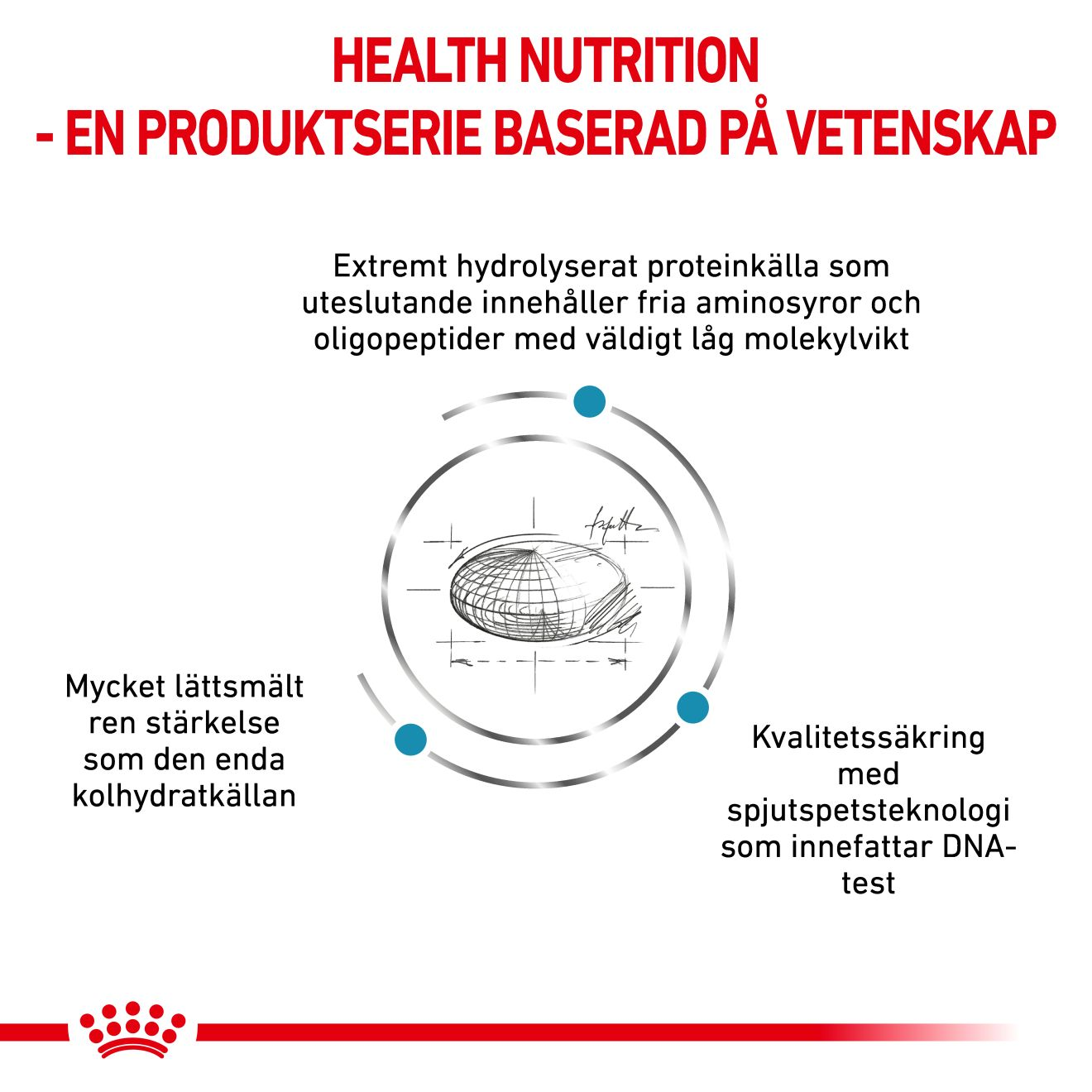 Derma Anallergenic Small Dog