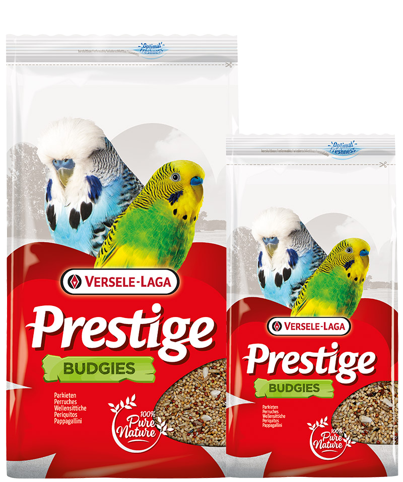 verselelaga_prestige_budgies_seeds_mix_birds_food_