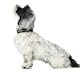 Hunter_softie_deluxe-hund.png